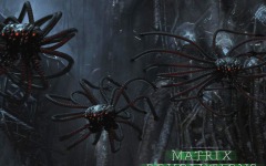 Desktop wallpaper. Matrix: Revolutions, The. ID:5642