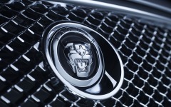 Desktop wallpaper. Jaguar. ID:8766