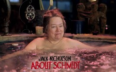 Desktop wallpaper. About Schmidt. ID:3578