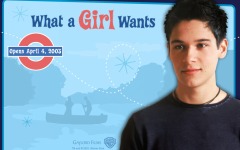 Desktop wallpaper. What a Girl Wants. ID:5882