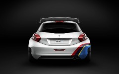Desktop wallpaper. Peugeot 208 R5 Rally 2013. ID:59613