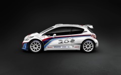 Desktop wallpaper. Peugeot 208 R5 Rally 2013. ID:59615