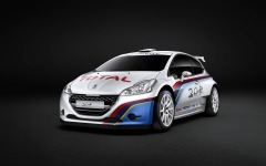 Desktop wallpaper. Peugeot 208 R5 Rally 2013. ID:59616