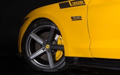 Desktop wallpaper. Saleen S302 Black Label 2015. ID:60019