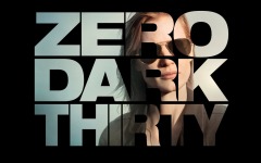 Desktop wallpaper. Zero Dark Thirty. ID:75054