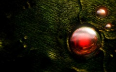 Desktop wallpaper. Aquanox. ID:10291