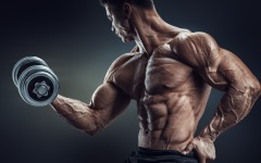 Desktop wallpaper. Fitness. ID:76870