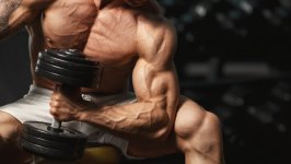 Desktop wallpaper. Fitness. ID:125814