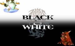 Desktop wallpaper. Black & White. ID:10354