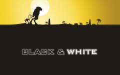 Desktop wallpaper. Black & White. ID:10355