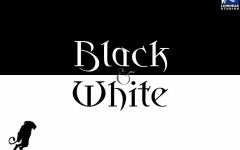 Desktop wallpaper. Black & White. ID:10361
