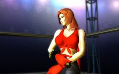 Desktop wallpaper. Dead or Alive. ID:10572