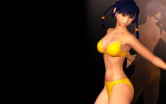 Desktop wallpaper. Dead or Alive. ID:10584