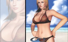 Desktop wallpaper. Dead or Alive: Xtreme Beach Volleyball. ID:10600