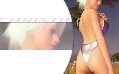 Desktop wallpaper. Dead or Alive: Xtreme Beach Volleyball. ID:10604