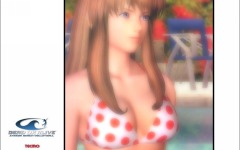 Desktop wallpaper. Dead or Alive: Xtreme Beach Volleyball. ID:10606