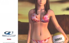 Desktop wallpaper. Dead or Alive: Xtreme Beach Volleyball. ID:10608
