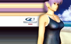 Desktop wallpaper. Dead or Alive: Xtreme Beach Volleyball. ID:10612