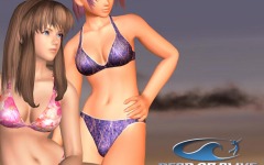 Desktop wallpaper. Dead or Alive: Xtreme Beach Volleyball. ID:10613