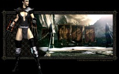 Desktop wallpaper. Diablo 2: Lord of Destruction. ID:10628