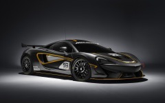 Desktop wallpaper. McLaren 570S GT4 2016. ID:78052