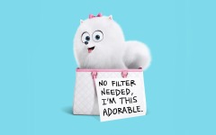 Desktop wallpaper. Secret Life of Pets, The. ID:82403