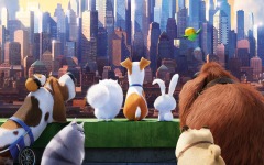 Desktop wallpaper. Secret Life of Pets, The. ID:78377