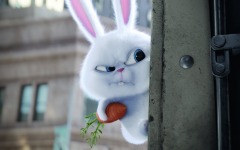 Desktop wallpaper. Secret Life of Pets, The. ID:78378