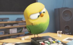 Desktop wallpaper. Secret Life of Pets, The. ID:78379