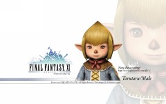 Desktop wallpaper. Final Fantasy 11. ID:10840