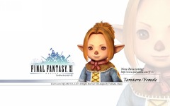 Desktop wallpaper. Final Fantasy 11. ID:10842