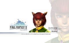 Desktop wallpaper. Final Fantasy 11. ID:10846