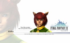 Desktop wallpaper. Final Fantasy 11. ID:10847
