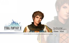 Desktop wallpaper. Final Fantasy 11. ID:10851