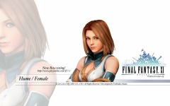 Desktop wallpaper. Final Fantasy 11. ID:10852