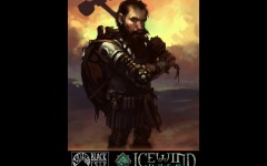 Desktop wallpaper. Icewind Dale. ID:11138