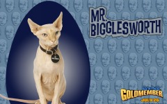 Desktop wallpaper. Austin Powers 3. ID:3639