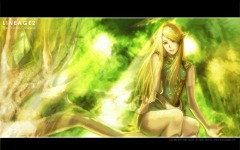 Desktop wallpaper. Lineage 2: The Chaotic Chronicle. ID:11221