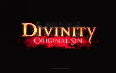 Desktop wallpaper. Divinity: Original Sin. ID:88022