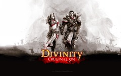 Desktop wallpaper. Divinity: Original Sin. ID:88023