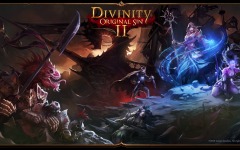 Desktop wallpaper. Divinity: Original Sin 2. ID:88026