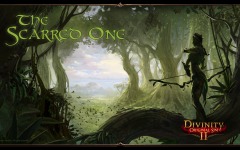 Desktop wallpaper. Divinity: Original Sin 2. ID:88303