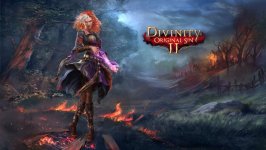 Desktop wallpaper. Divinity: Original Sin 2. ID:97043