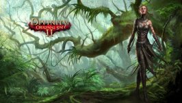 Desktop wallpaper. Divinity: Original Sin 2. ID:97046