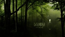 Desktop wallpaper. Slender: The Arrival. ID:101255