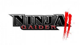 Desktop wallpaper. Ninja Gaiden 2. ID:91875