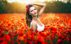 Desktop wallpaper. Girls. ID:69075