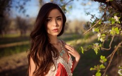 Desktop wallpaper. Savannah Comejo