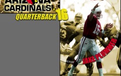 Desktop wallpaper. American Football. ID:12696