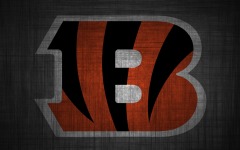 Desktop wallpaper. Cincinnati Bengals